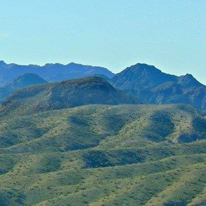 Meet your Posher, Nora